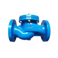 PN16 LIFT CHECK VALVE